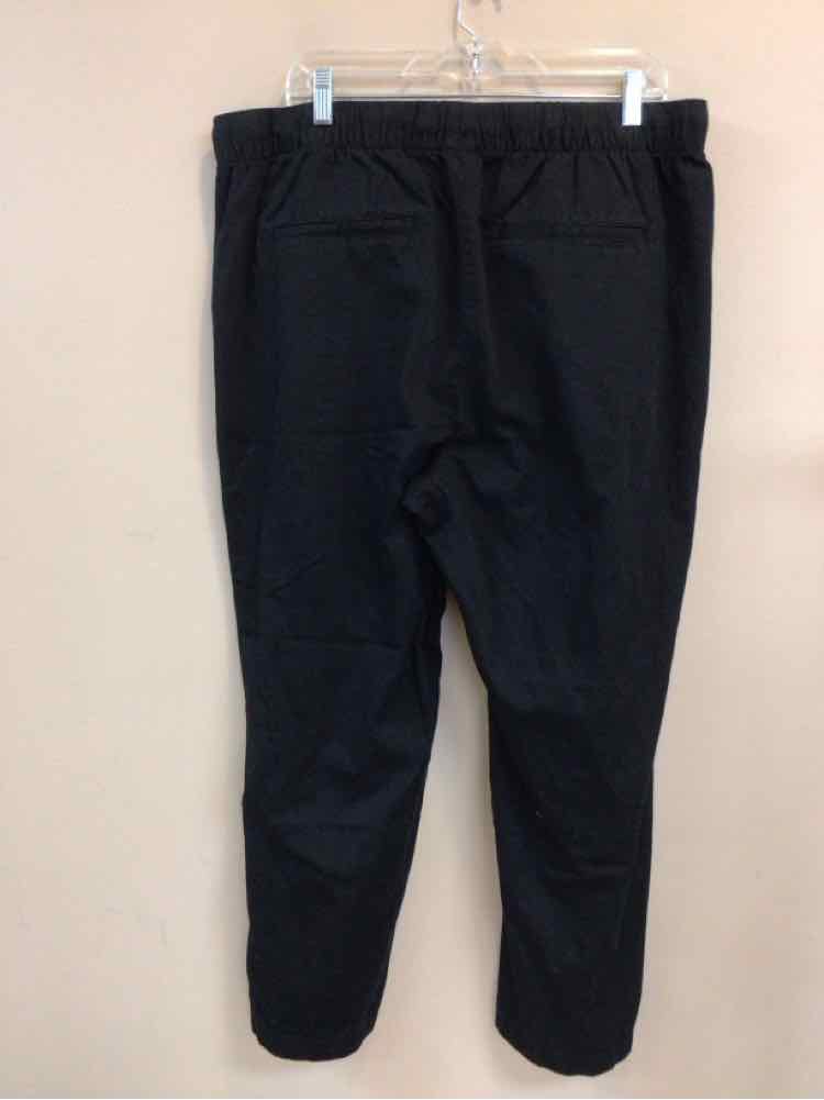 GAP SIZE X LARGE Ladies PANTS