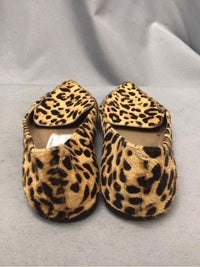 STEVE MADDEN SIZE 7 Ladies SHOES