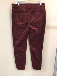 PAIGE SIZE 32 Ladies PANTS
