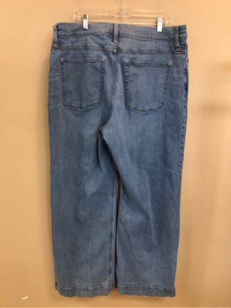 J CREW SIZE 34 Ladies JEANS