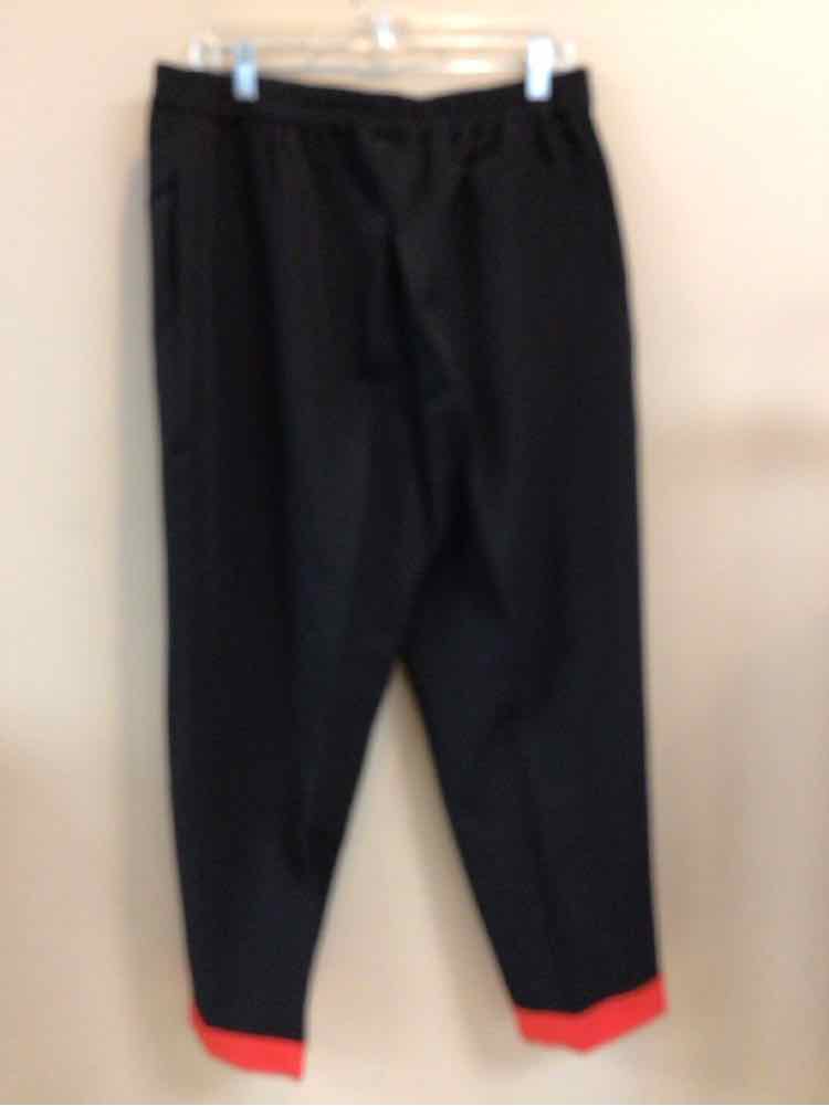 STYLEWE SIZE 2 X Ladies PANTS