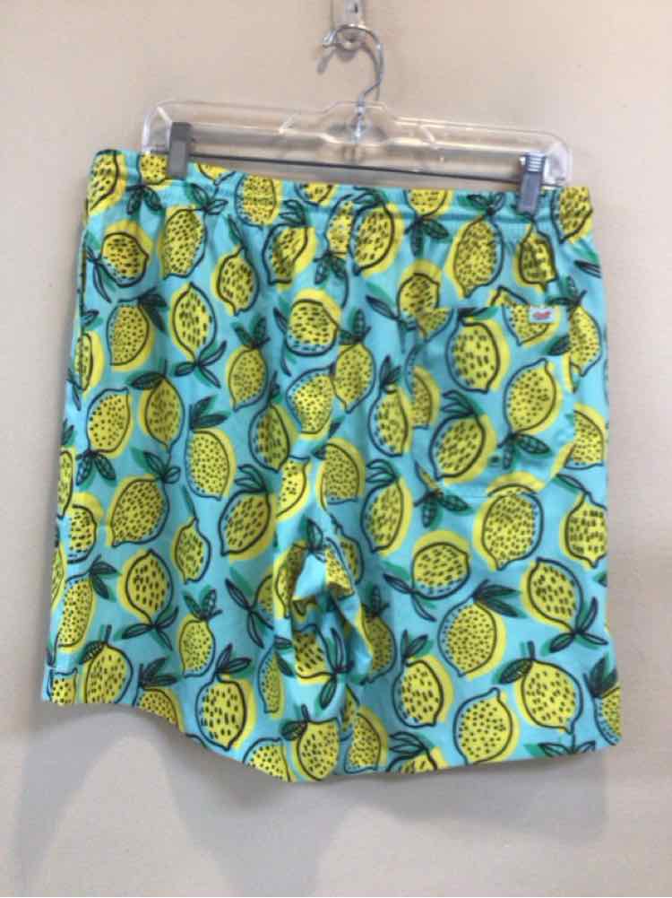 SIZE LARGE RSVLTS Men's SHORTS