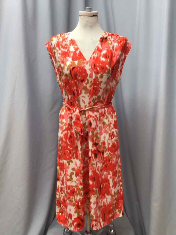 ANN TAYLOR SIZE MEDIUM PET Ladies DRESS