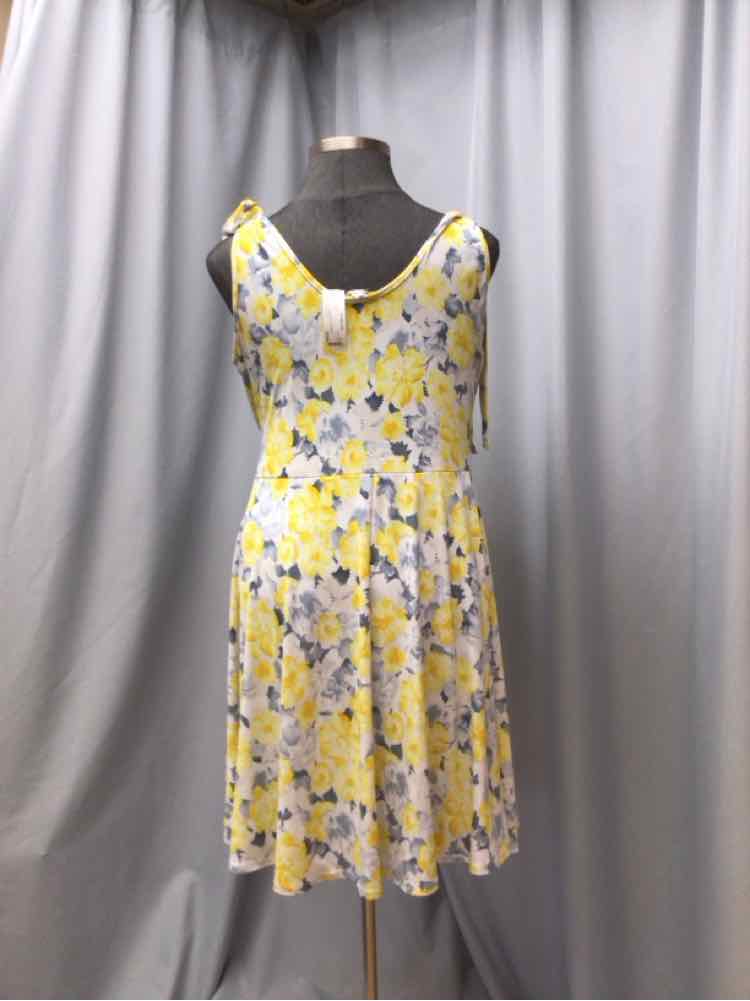 WHITE BIRCH SIZE 2 X Ladies DRESS