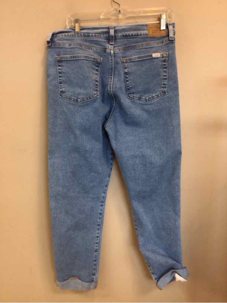 LEVI STRAUSS & CO SIZE 10 Ladies JEANS