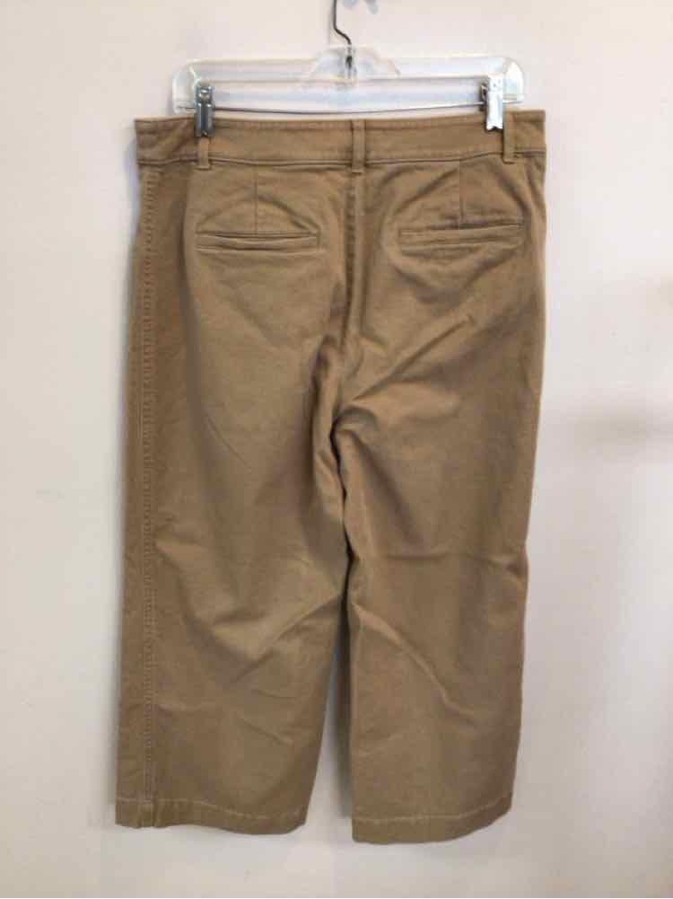 LOFT SIZE 12 PETITE Ladies PANTS