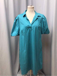 CHICOS SIZE LARGE Ladies DRESS