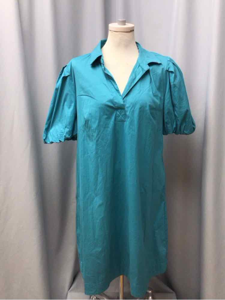 CHICOS SIZE LARGE Ladies DRESS