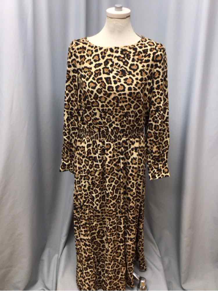 LOFT SIZE LARGE PET Ladies DRESS