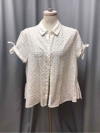 CYNTHIA ROSE SIZE LARGE Ladies BLOUSE